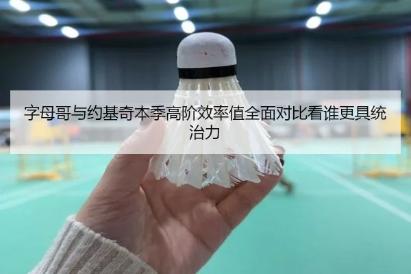字母哥与约基奇本季高阶效率值全面对比看谁更具统治力